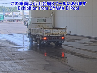 ISUZU ELF 2019