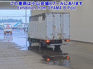 ISUZU ELF 2010