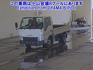 ISUZU ELF 2018