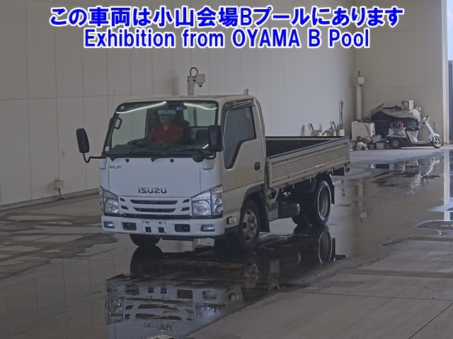 ISUZU ELF 2020