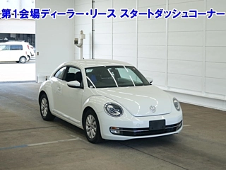 Заказать VOLKSWAGEN THE BEETLE