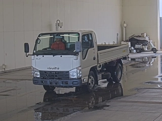 ISUZU ELF 2019