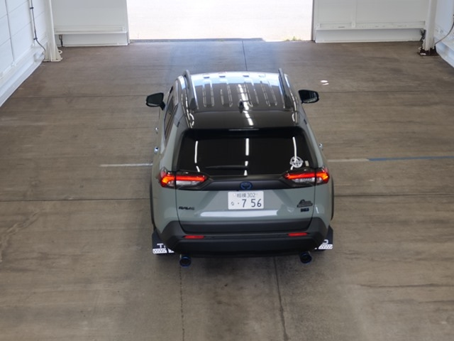 TOYOTA RAV4 2024