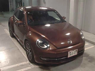 VOLKSWAGEN THE BEETLE 2016