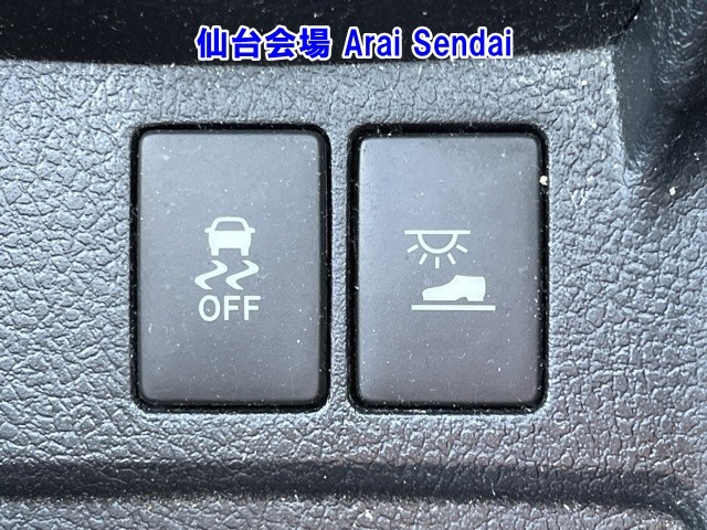 TOYOTA OTHER 2021