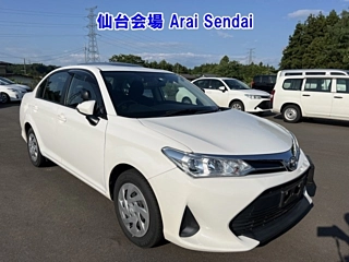 TOYOTA OTHER 2021