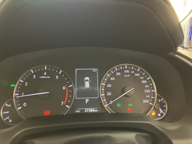 LEXUS RX 2020