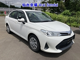 TOYOTA OTHER 2021