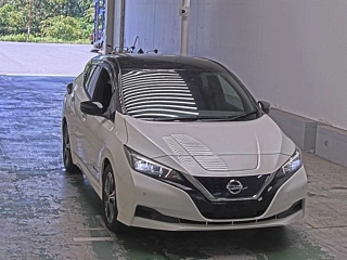 NISSAN LEAF 2019