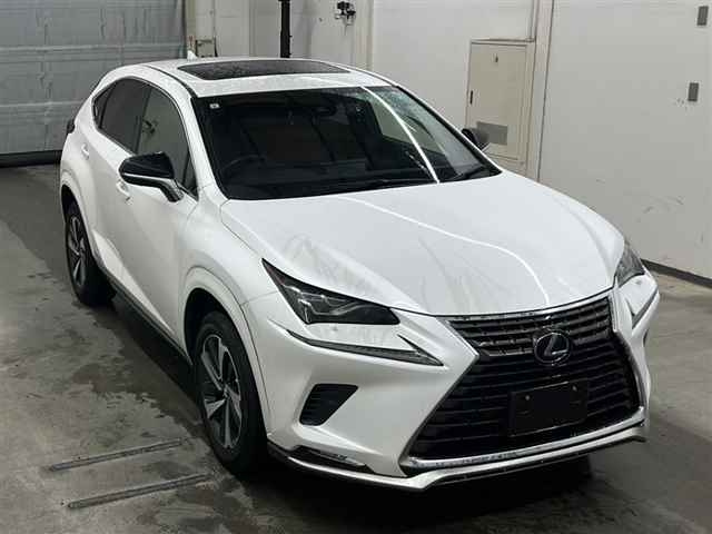 LEXUS NX 2021