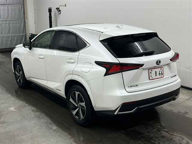 LEXUS NX 2021