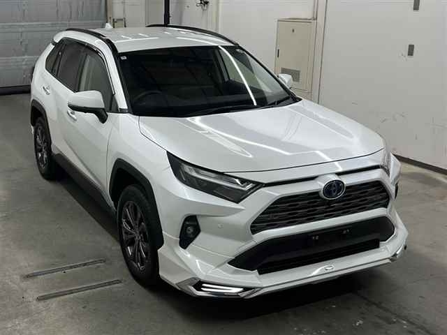 TOYOTA RAV4 2024