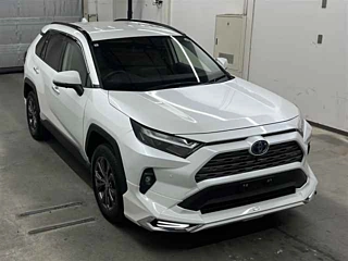 TOYOTA RAV4 2024