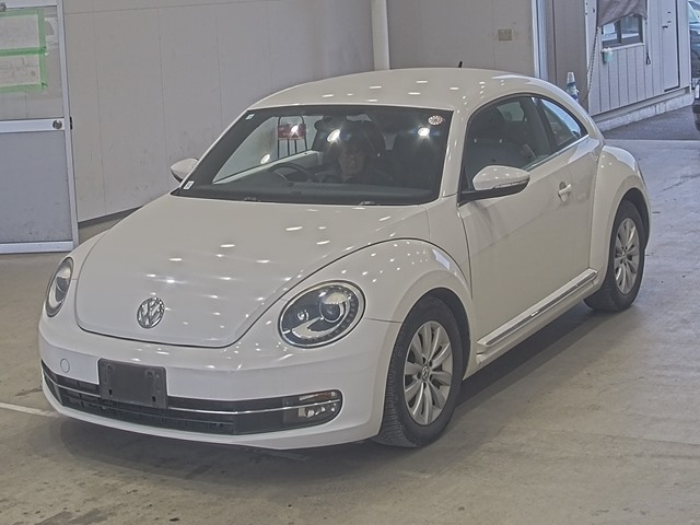 VOLKSWAGEN THE BEETLE 2012