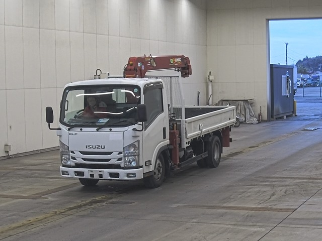 ISUZU ELF 2019