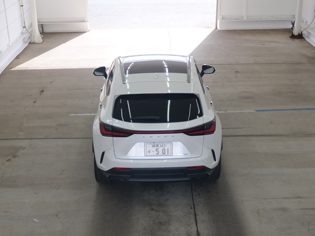 LEXUS NX 2023