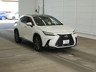 LEXUS NX 2023