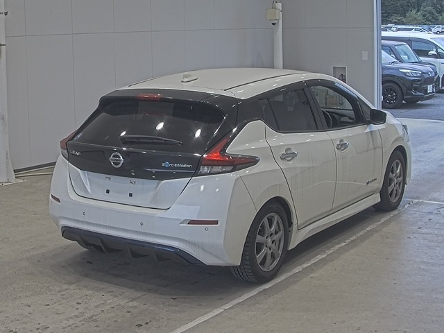 NISSAN LEAF 2020
