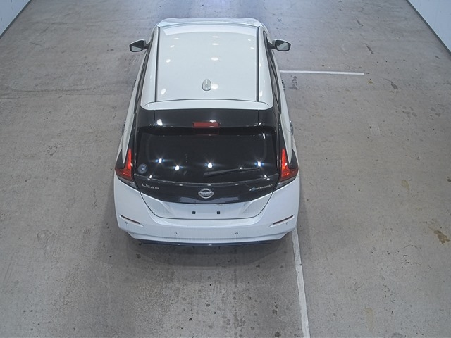 NISSAN LEAF 2020