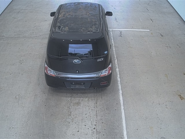 SUBARU DEX 2010