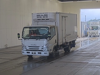 ISUZU ELF 2019