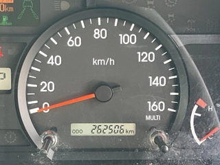 ISUZU ELF 2019
