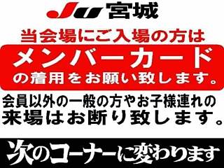 Заказать OTHERS OTHER JAPAN