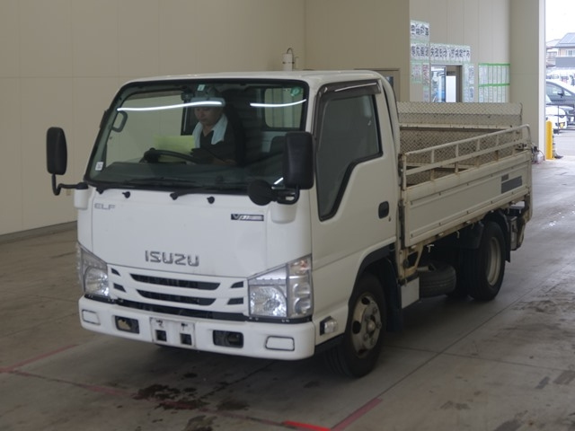 ISUZU ELF 2019