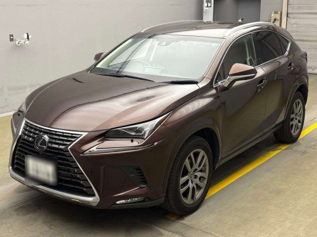 LEXUS NX 2019