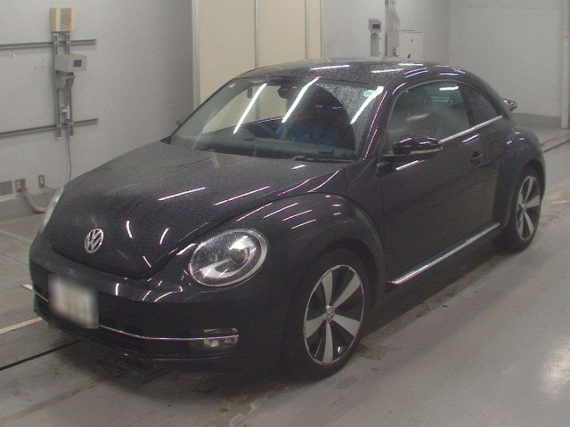 VOLKSWAGEN THE BEETLE 2015