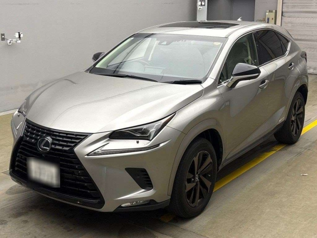 LEXUS NX 2019