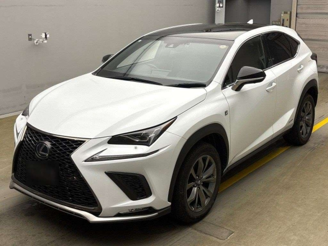 LEXUS NX 2019