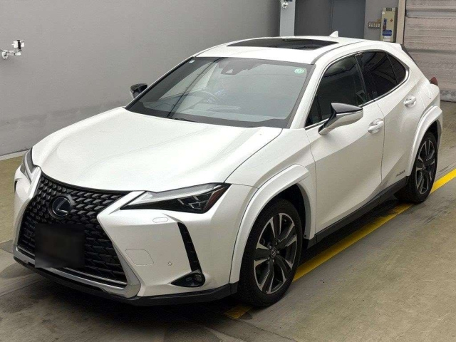 LEXUS UX 2019