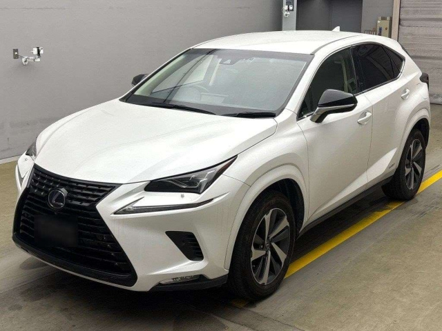 LEXUS NX 2019