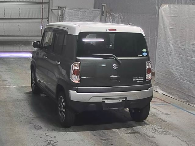 SUZUKI HUSTLER 2019