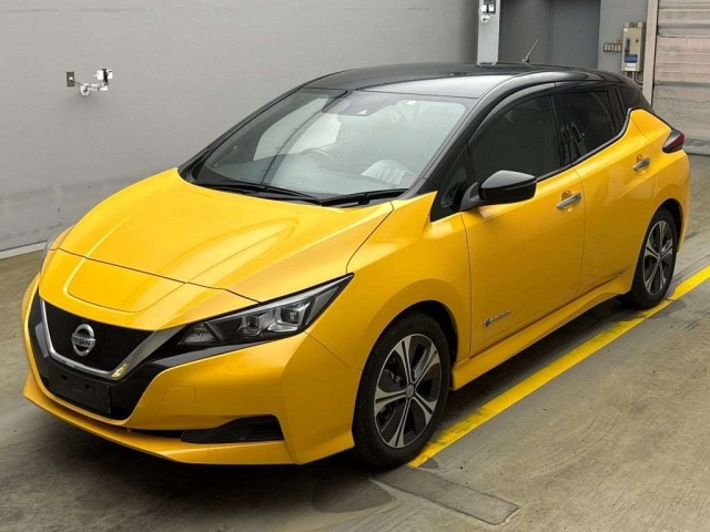 NISSAN LEAF 2018