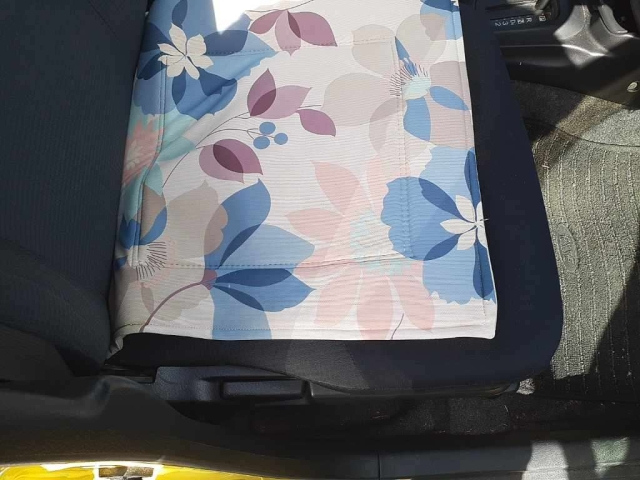 DAIHATSU ESSE 2011