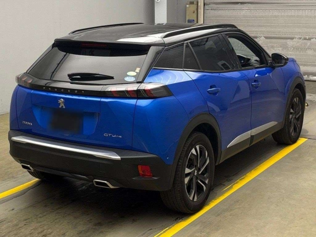 PEUGEOT 2008 2020