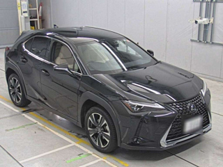 catalog-car-6