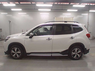 catalog-car-5