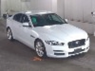 Заказать JAGUAR XE