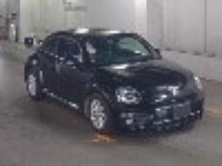 Заказать VOLKSWAGEN THE BEETLE