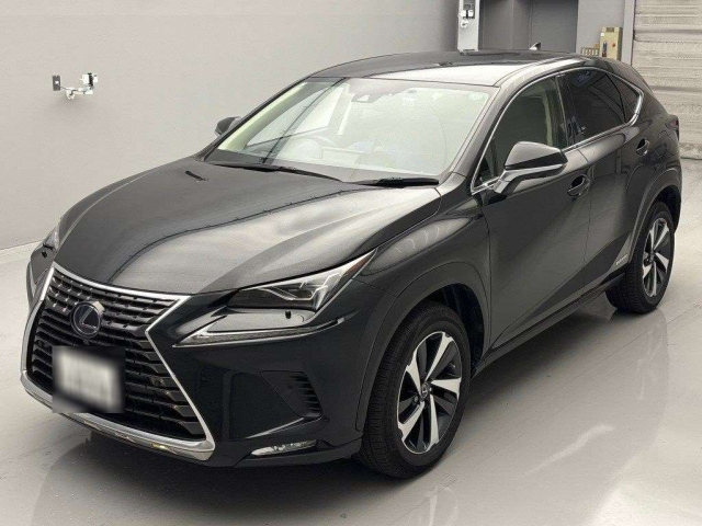LEXUS NX 2020
