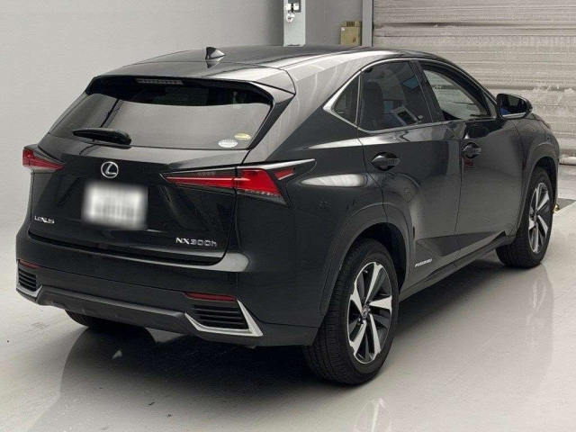 LEXUS NX 2020
