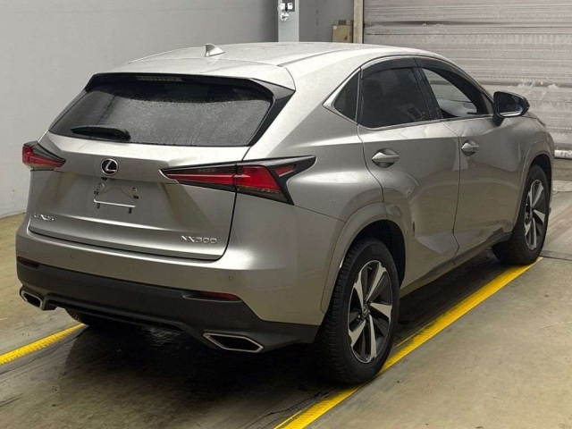 LEXUS NX 2020