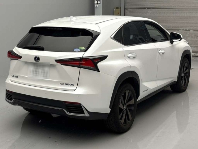 LEXUS NX 2019
