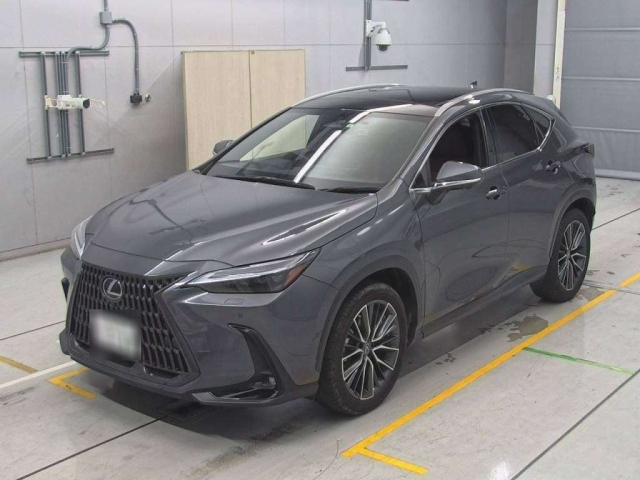 LEXUS NX 2022