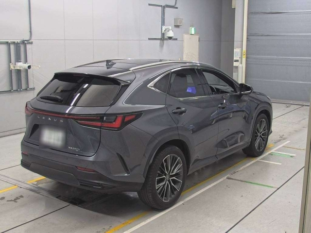 LEXUS NX 2022