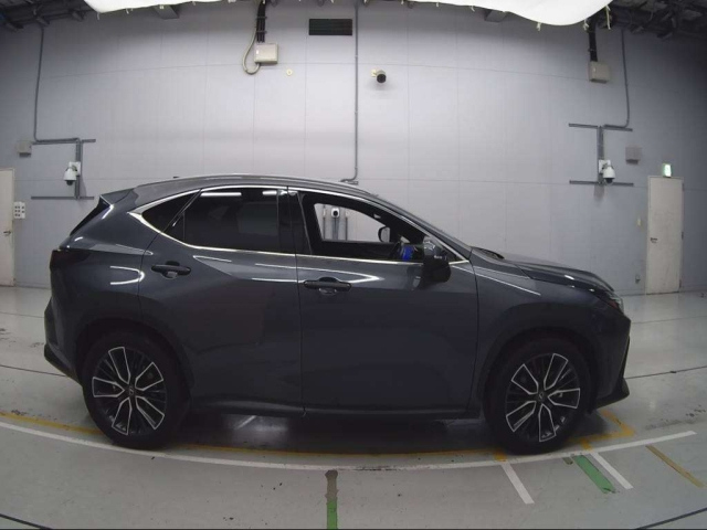LEXUS NX 2022
