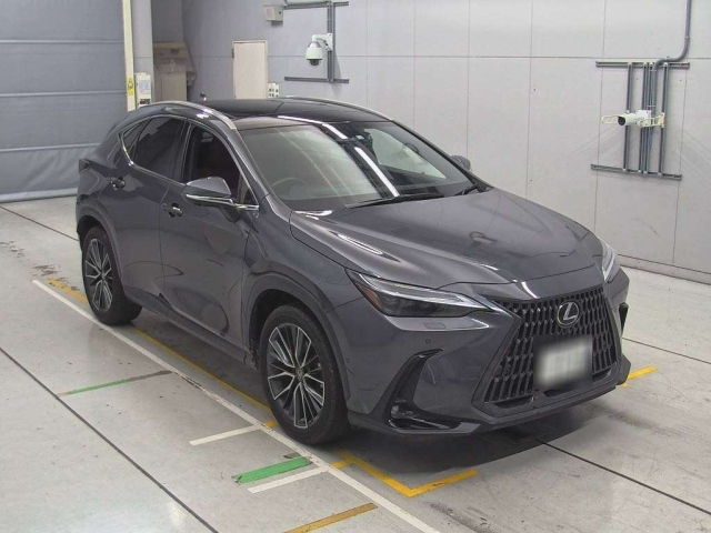LEXUS NX 2022